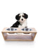 Pet Bowl
