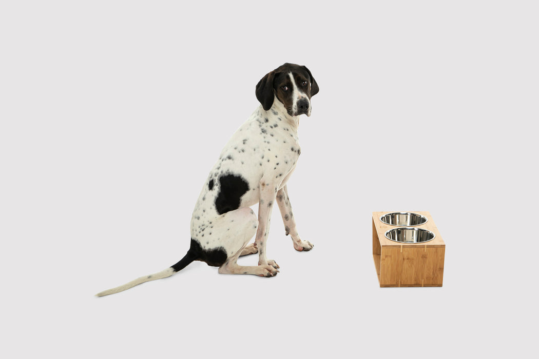 Raised Bamboo Feeder with Dual steel bowls