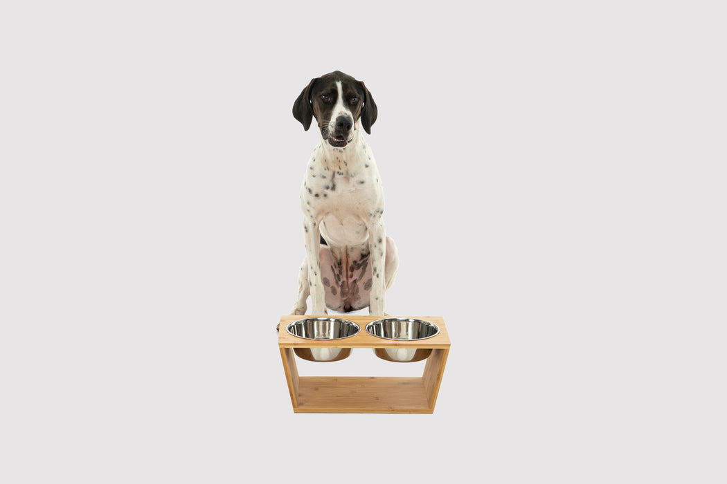 Raised Bamboo Feeder with Dual steel bowls