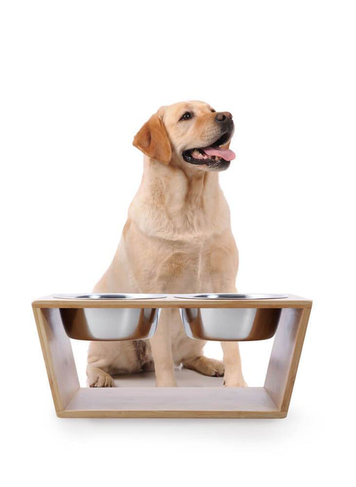 Pet Bowl