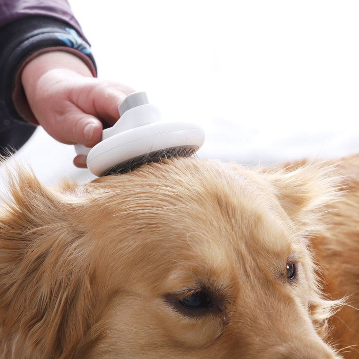 Pet Grooming