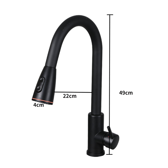 Arezoo Black Kitchen Sink Pull Out Spray Mixer Tap