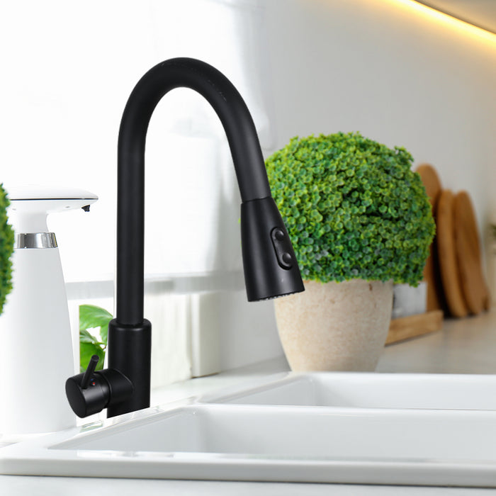Arezoo Black Kitchen Sink Pull Out Spray Mixer Tap