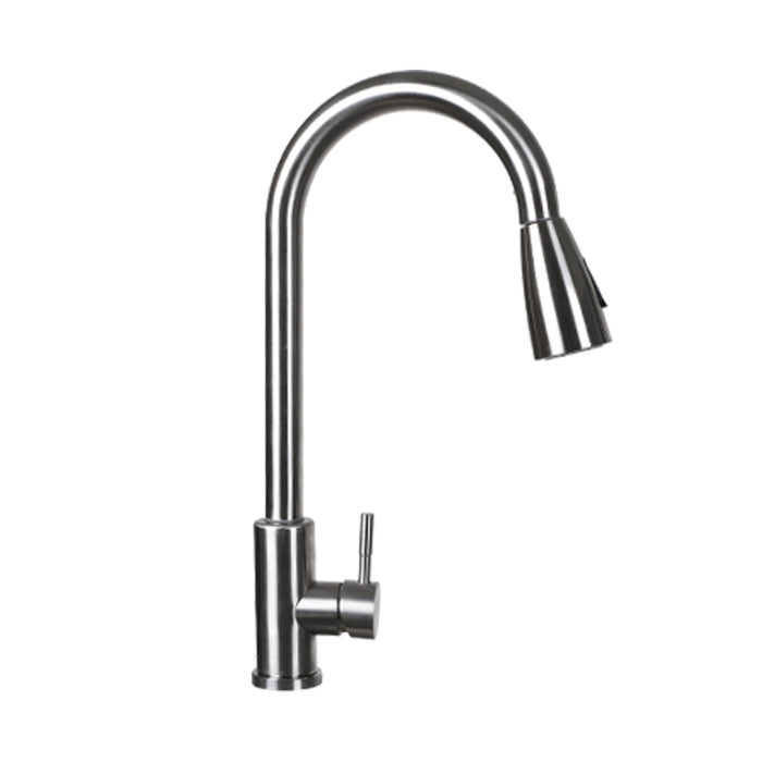 Arezzoo Kitchen Sink Pull Out Spray Mixer Tap