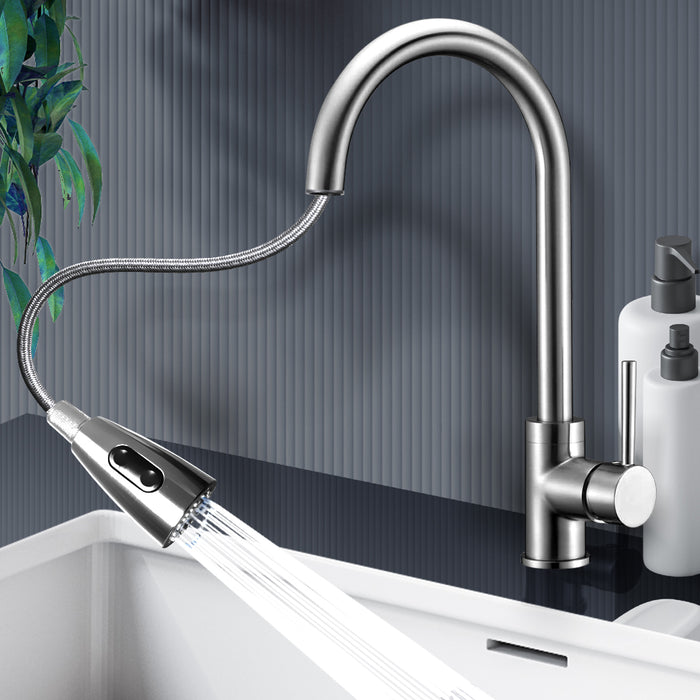 Arezzoo Kitchen Sink Pull Out Spray Mixer Tap