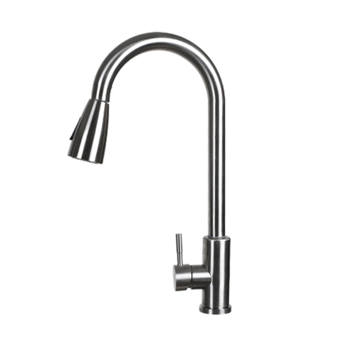 Arezzoo Kitchen Sink Pull Out Spray Mixer Tap