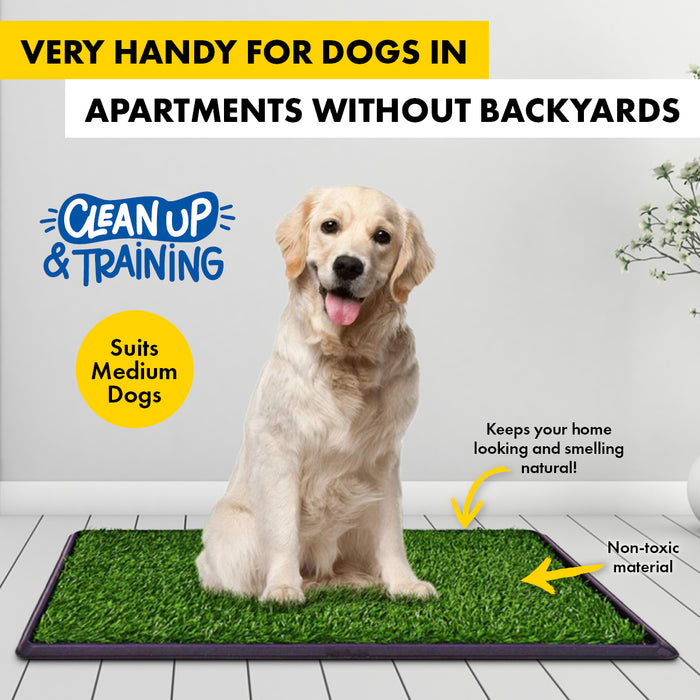 3 Layer Portable Dog Potty Trainer System | Odour Resistant Pet Potty Training